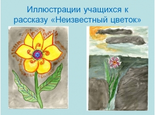 платонов цветок на земле слушать сказку платонов цветок на земле слушать сказку