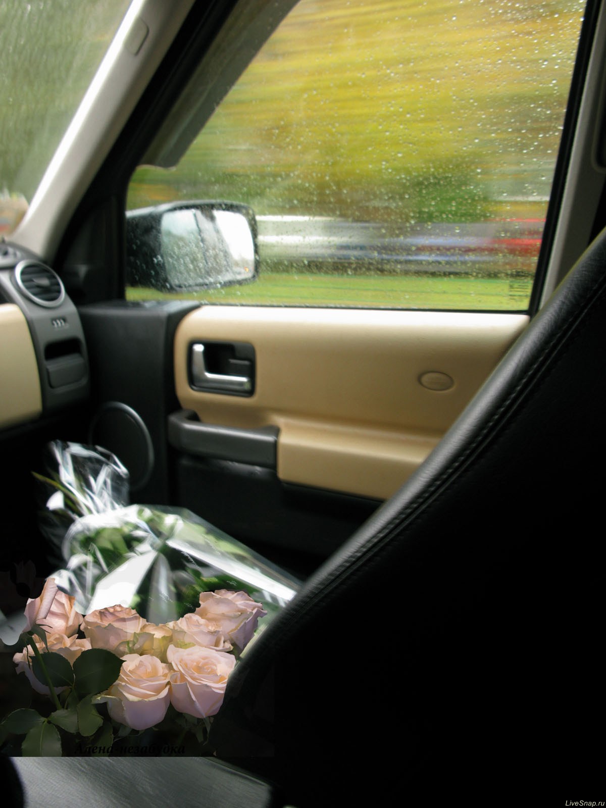  цветов в машине
