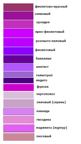 Какой цветок лиловый Какой цветок лиловый