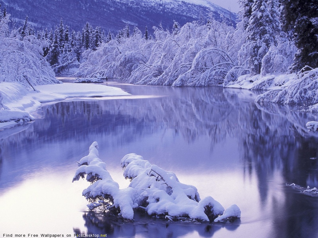 красивые  природы зимой
