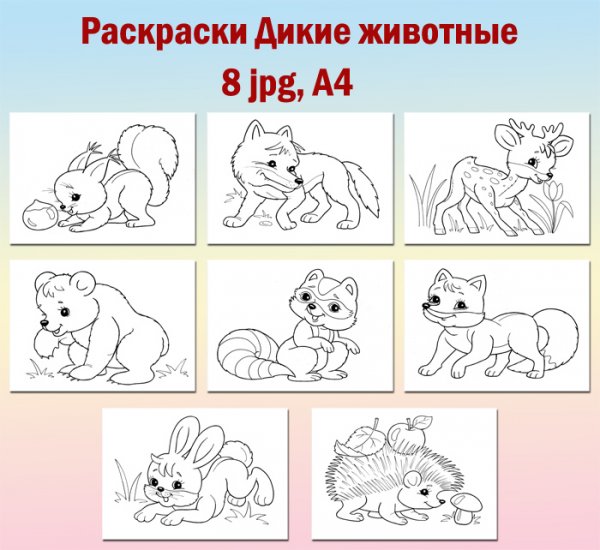 Раскраски дикие животные скачать Раскраски дикие животные скачать
