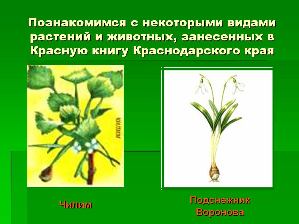 Арозенбаумпесни про семена Арозенбаумпесни про семена