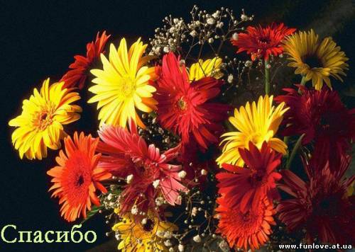 Посев секрета простаты: как проводится забор и что можно узнать Бак посев секрета простаты - как делают анализ секрета простаты
