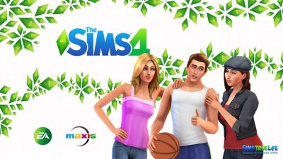  Sims   