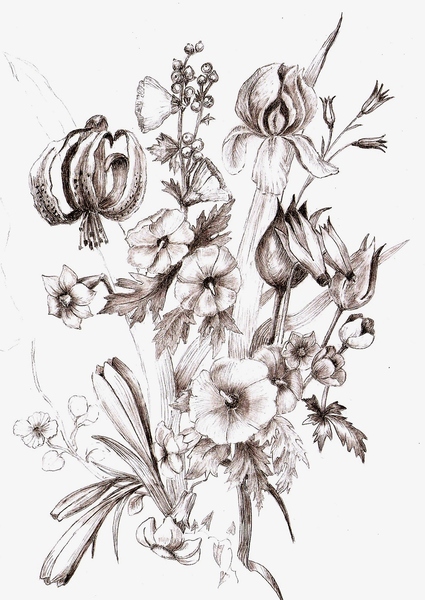 Карандашный набросок 5 букв сканворд. Зарисовки растений. Эскиз цветочной композиции. Зарисовки цветов карандашом. Наброски растений.