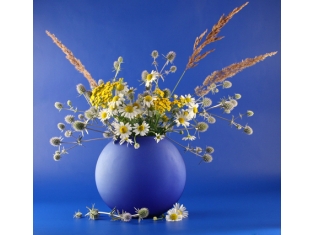 Натюрморт цветы в вазе картинки