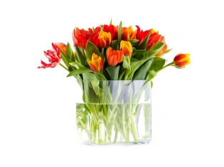 Картинки ваза и цветы