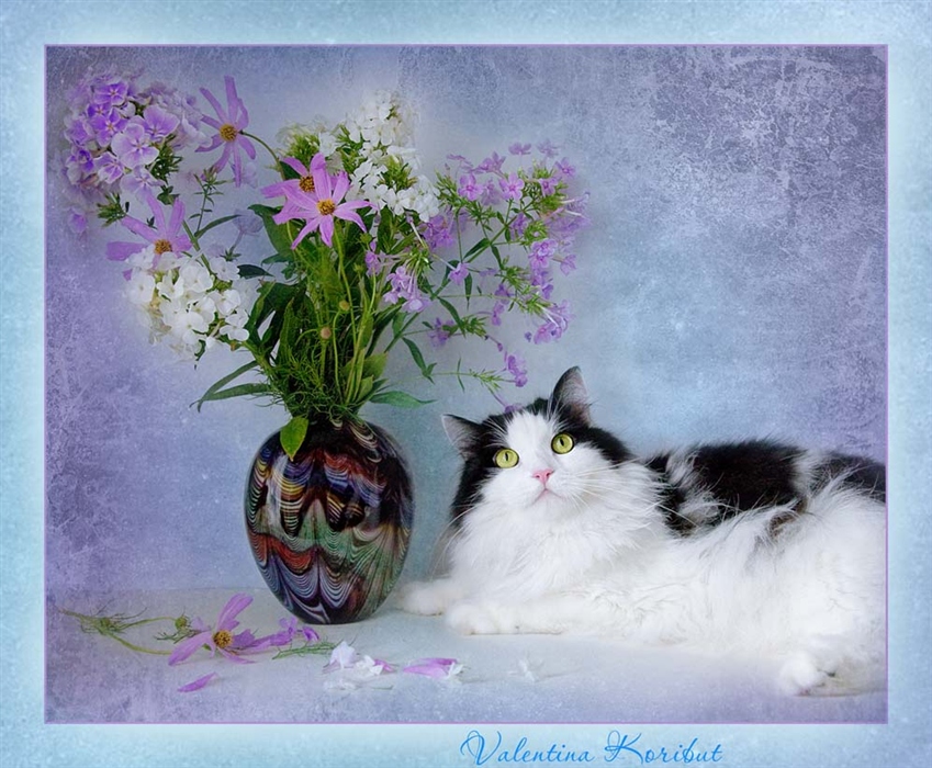 1 день весны день кошек картинки. Цветы натюрморт кот. День кошек. Кошка с цветами.
