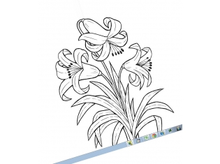Картинка для раскрашивания цветок