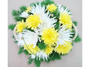 Фото цветов хризантемы