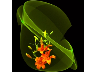 Анимационные картинки букеты цветов