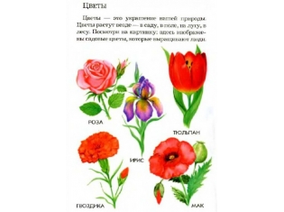 Цветы картинки для детей