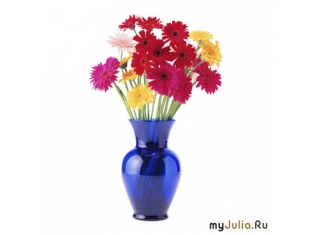 Фото цветок в вазе