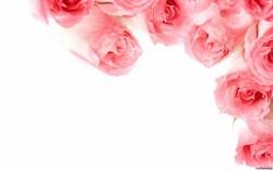 Фото цветы розы букеты большие