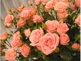 Фото цветы розы букеты большие