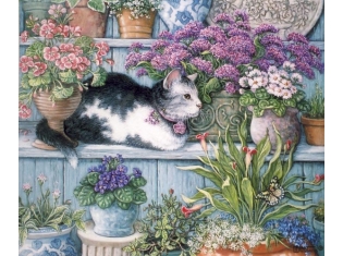 Кот и цветы картинки