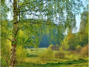 Природа России фото
