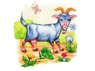 Картинки животных коза