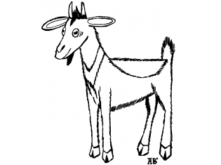 Картинки животных коза