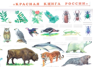Красная книга картинки животных растений