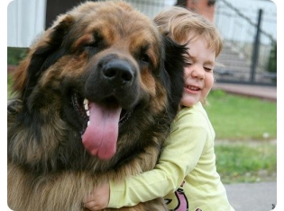 ���������� ����� � ��������