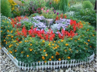 Фото садовых цветов с названием