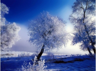 Картинки пейзажей природы зима