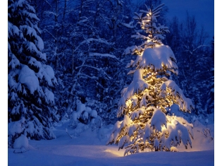 Природа зима картинки красивые