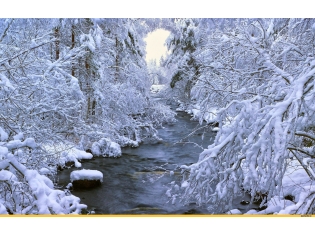 Природа зима картинки красивые