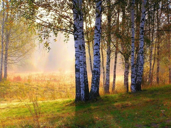 Фото Осенней Природы России