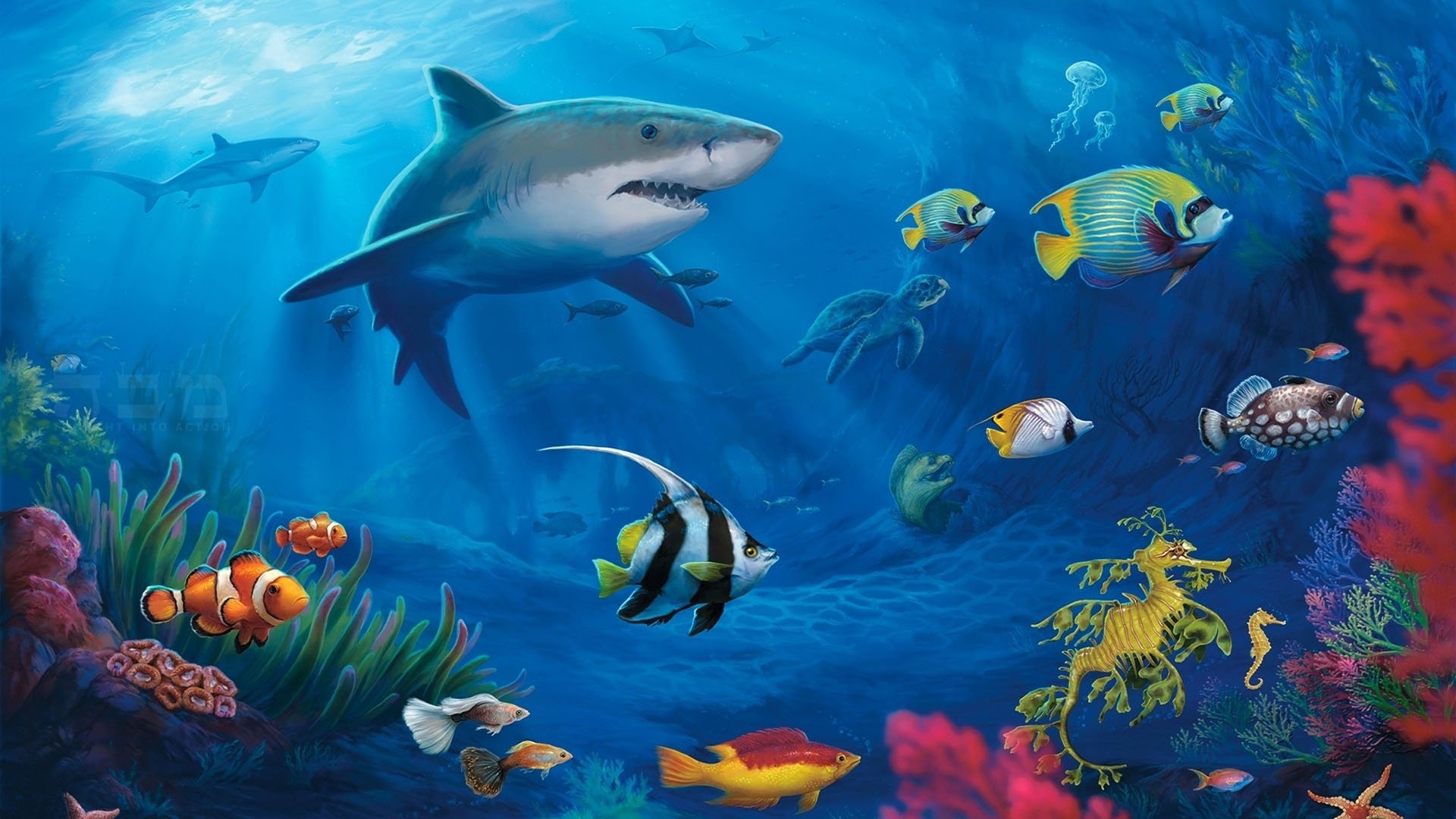 Подводный мир картинки для детей