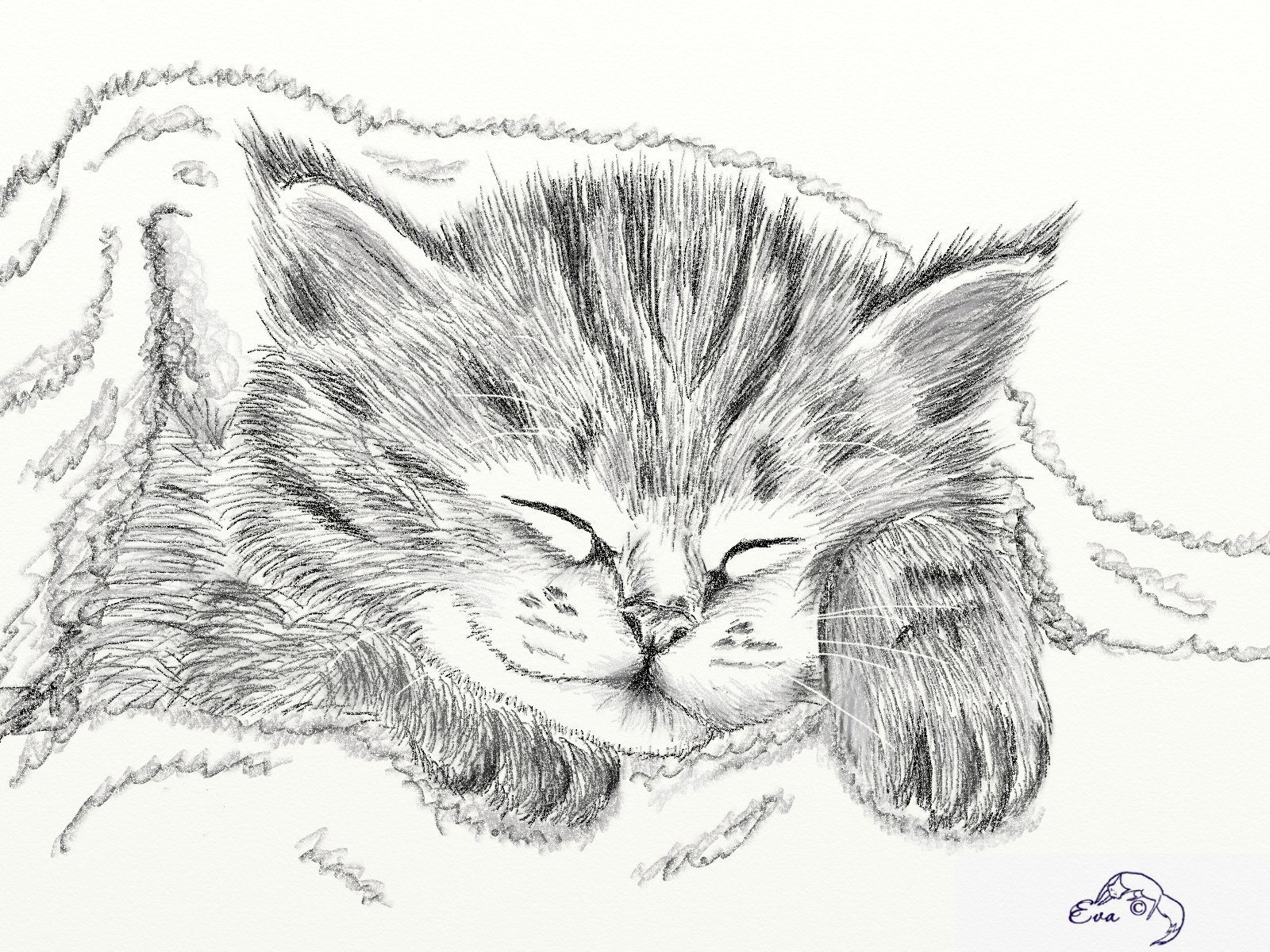 Сложные рисунки котик. Рисунки котиков карандашом. Котик рисунок карандашом. Котенок карандашом. Картины карандашом для срисовывания.