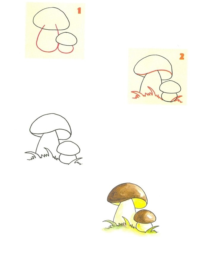 Грибы поэтапно. Поэтапное рисование гриба. Рисование с детьми грибы. Гриб рисунок для детей карандашом. Рисуем грибы поэтапно.