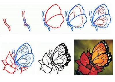 Как нарисовать карандашом поэтапно бабочку