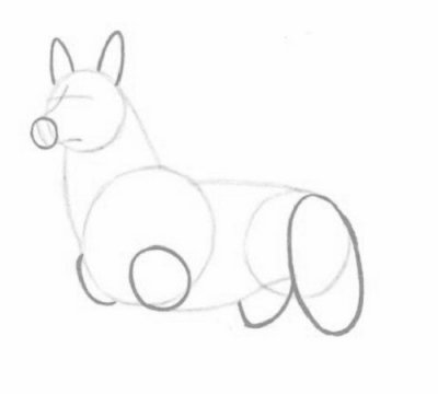 Как нарисовать волка карандашом поэтапно