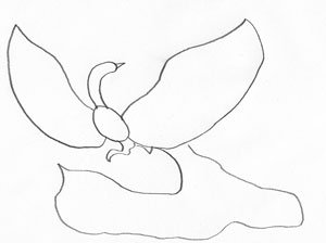 Как нарисовать Жар-птицу поэтапно карандашом