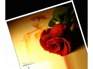 Картинки со цветами розы