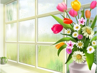 Цветы на окне картинки