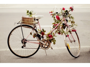 Велосипед с цветами картинки
