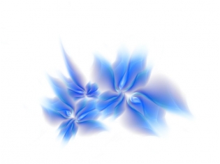 Голубой цветок фото