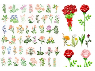 Название цветов растений с картинками