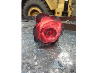 Фото каменный цветок