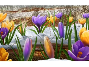 Красивые картинки на рабочий стол весна природа