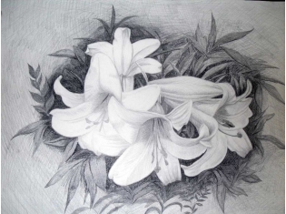 Картинки нарисованные карандашом поэтапно цветы
