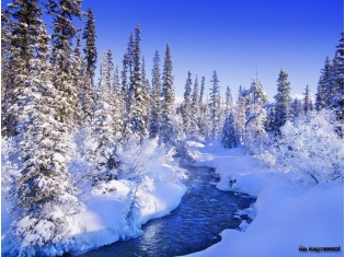 Картинки фото зима природа