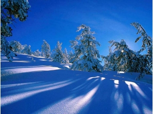 Картинки фото зима природа