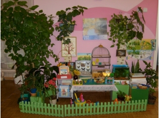 Уголок природы в детском саду фото