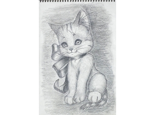 Картинки животных котят