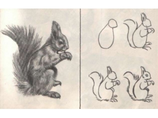 Картинки животных для рисования