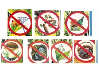 Картинки экологические знаки по охране природы